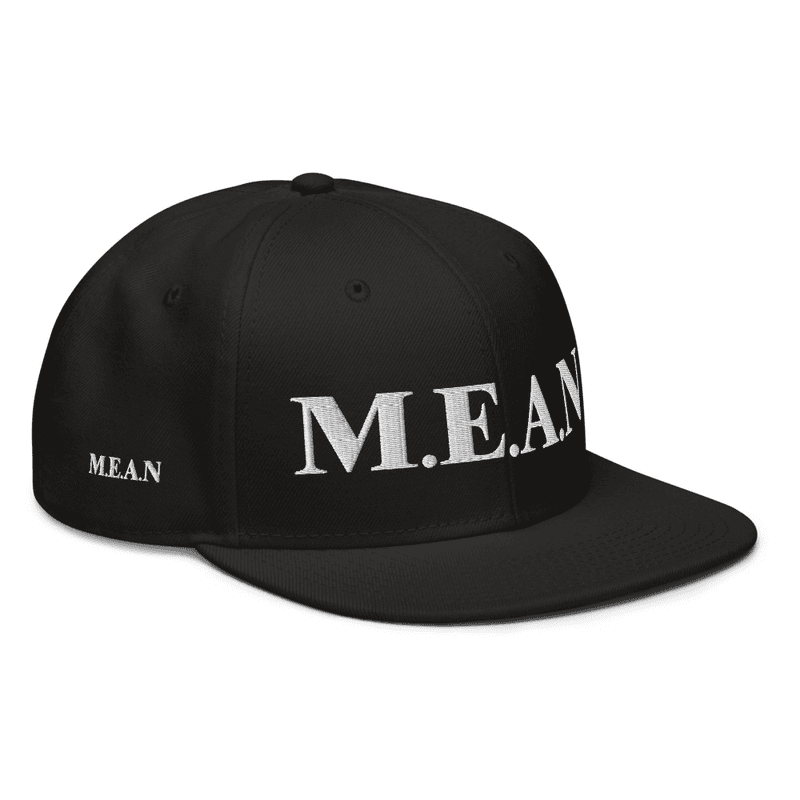 M.E.A.N. Snapback Hat