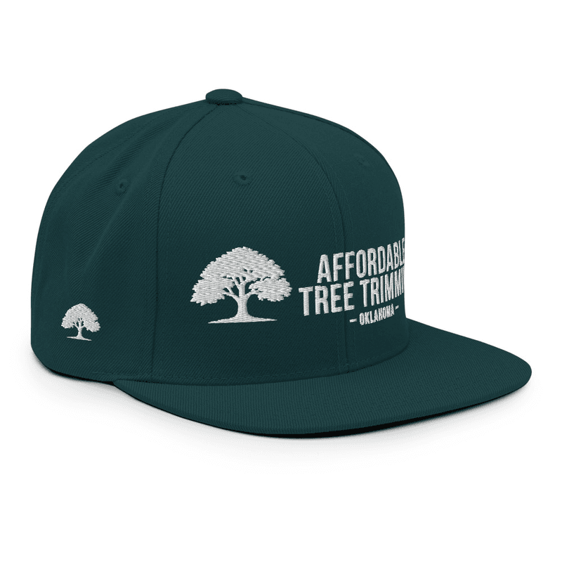 Affordable Tree Trimming OK - Snapback Hat