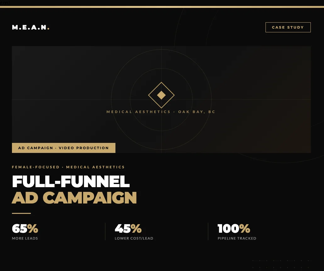 Medical Aesthetics Company — Video Ad Campaign